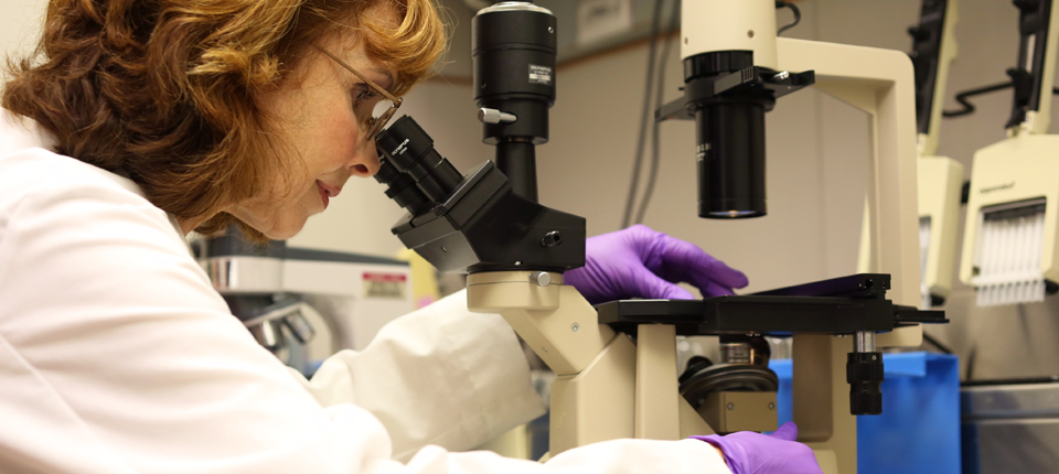 A Formula for Innovation