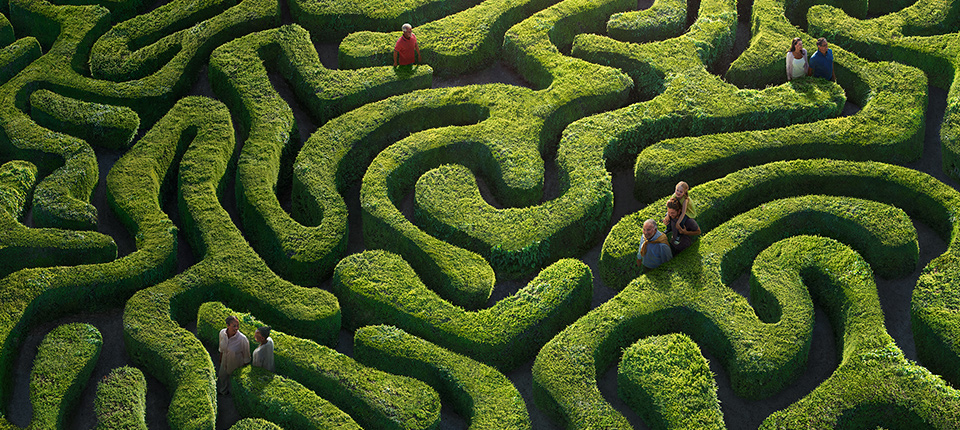 Triumph: Parkinson's, Tremor and DBS