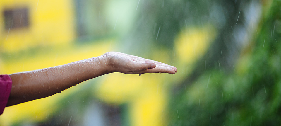 For Diabetes Testing, the Future is WOW