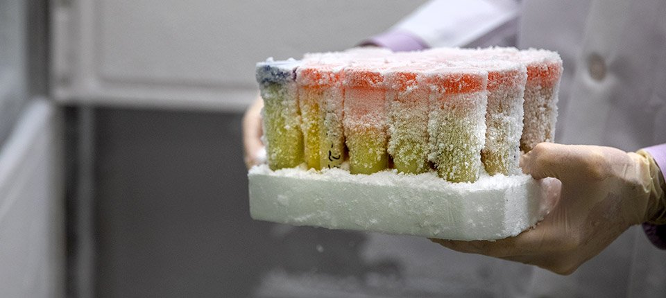 Viruses Change, Our Mission Won't