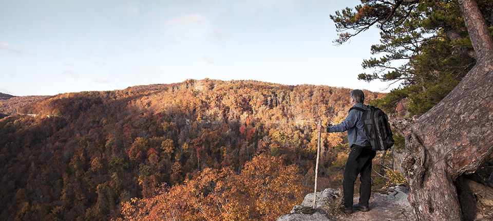 Angioplasty and Stents, Helping Millions