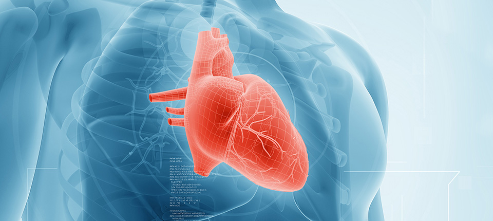 From Start-up to Success Story 