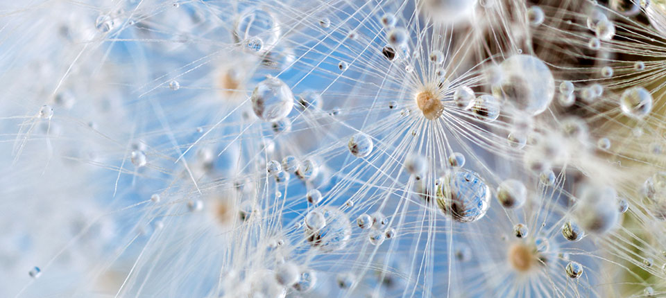 Sustainable by Design