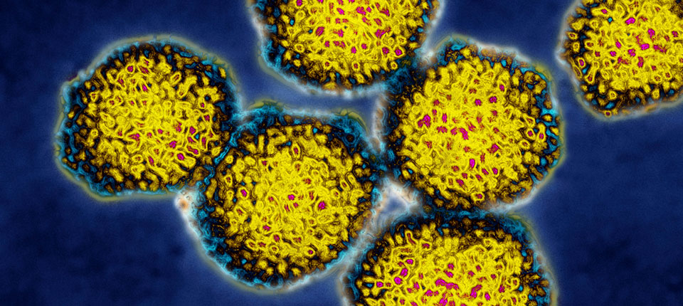 Partners Tackle Emerging, New Viruses