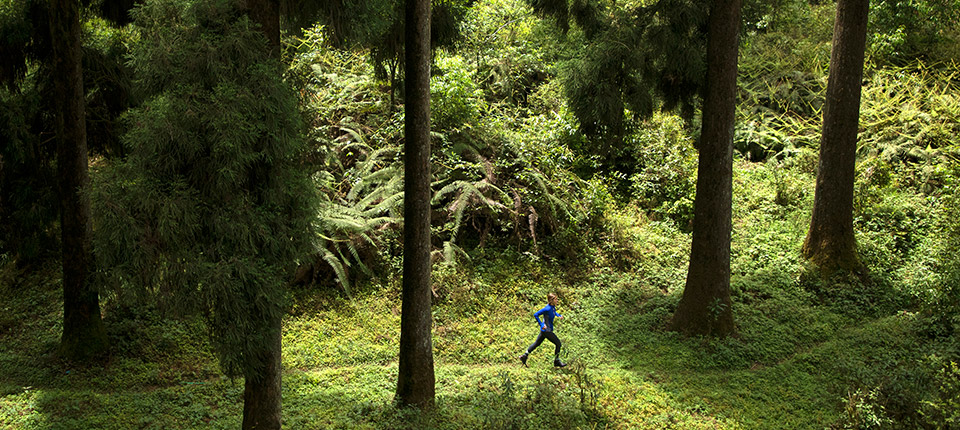 Protecting a Healthy Environment for Us All