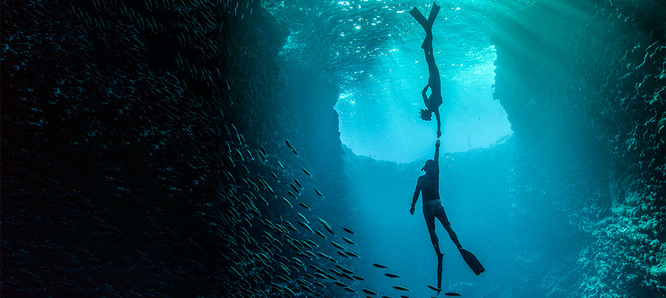 Expanding vascular offerings to improve patient care