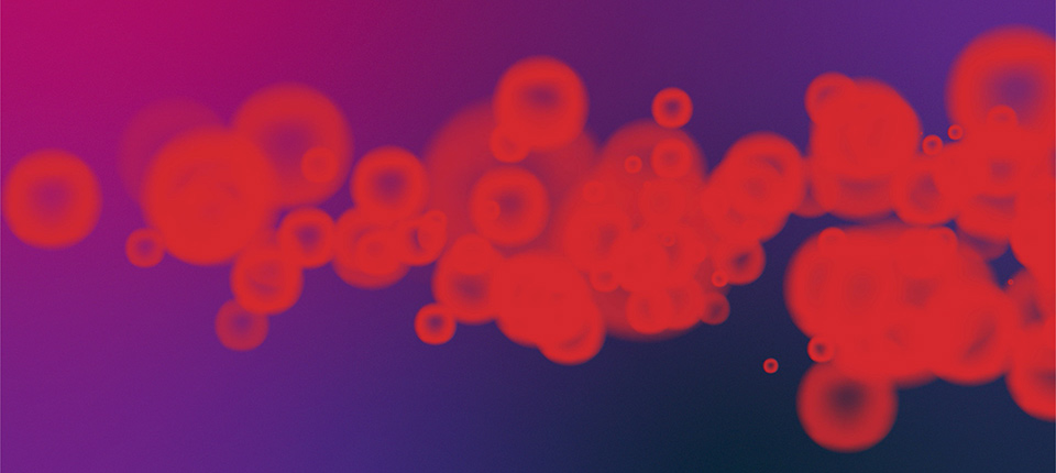 HIV Controllers: A New Phenomenon in HIV Research