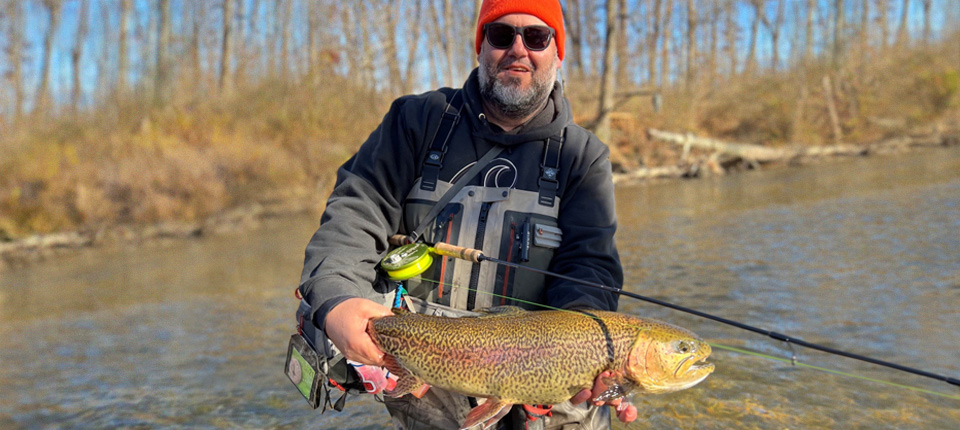 A River (and a Low-Level Electric Current) Run Through It
