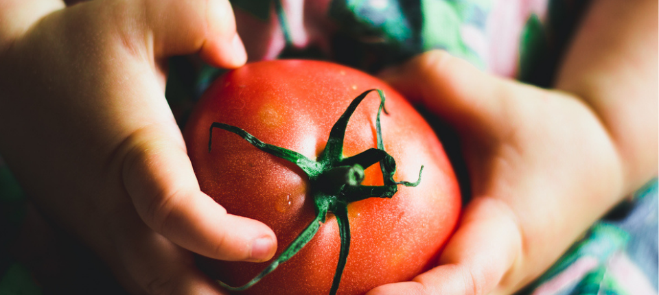 Fighting the Global Impact of Malnutrition