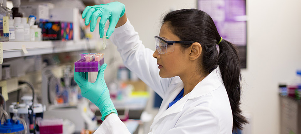 What Are Clinical Studies, Anyway?