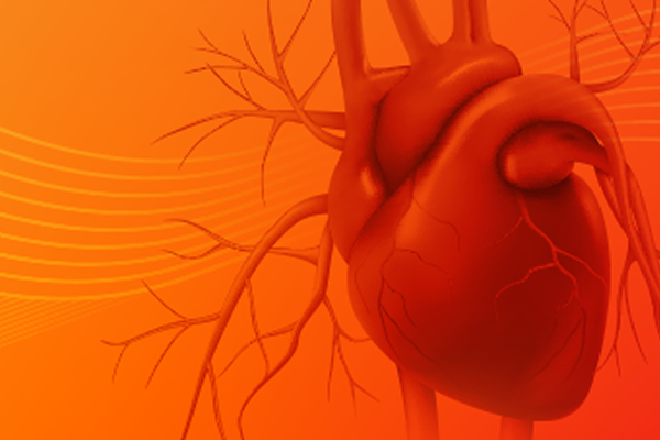 Download the Full White Paper and Supplement