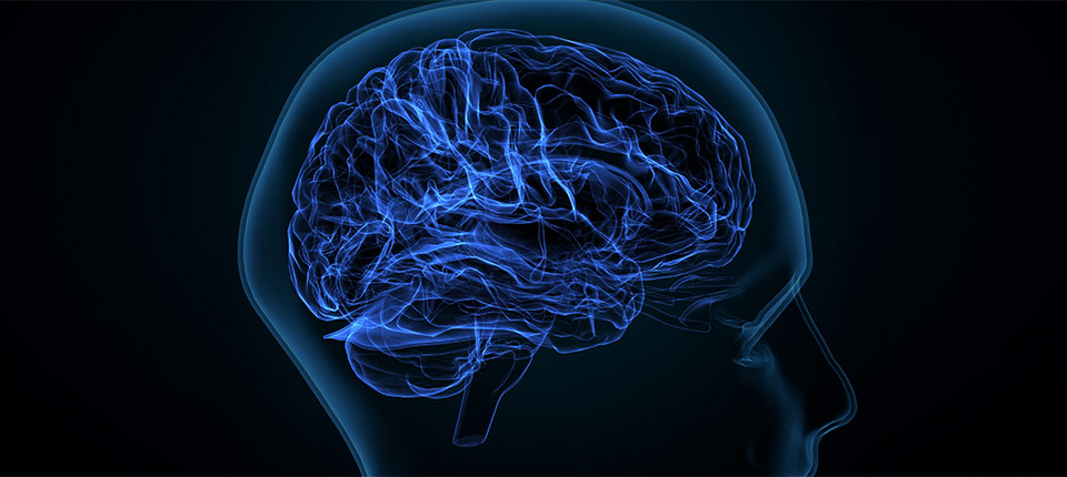 Abbott Reaches Concussion Testing Milestone