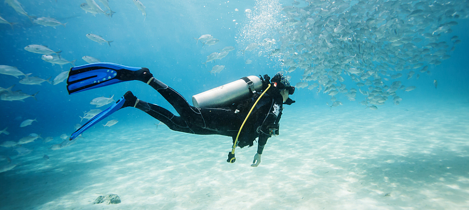 diver swimming in fish school in Dimakya island, Palawan, Philippines.; Shutterstock ID 227058706; PO: 123