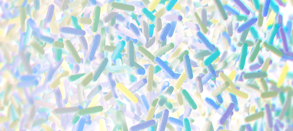 More Than a Gut Feeling: The Role of the Microbiome