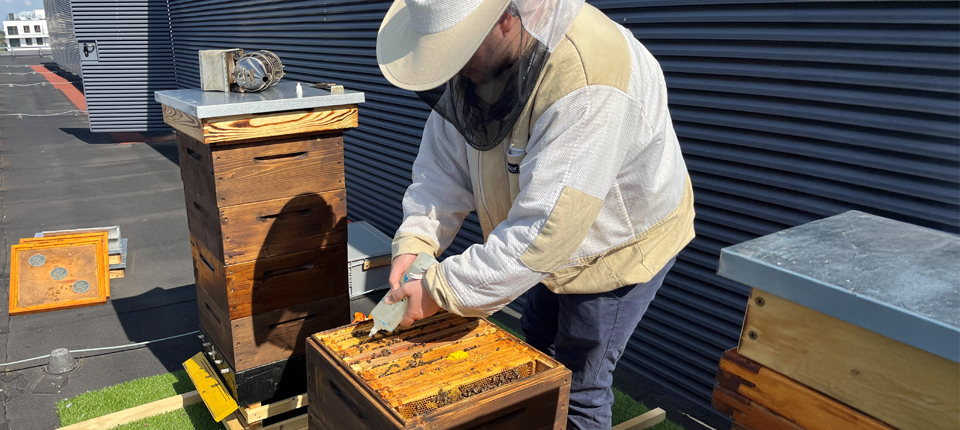Abbott Fund step up to support the BackPack Program