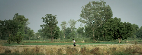 BRINGING NUTRITION SCIENCE TO LIFE