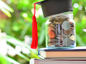 Sustainability Stories