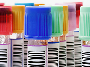 Sustainability Stories