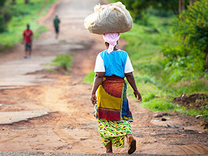 Sustainability Stories