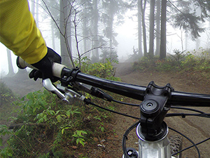 Sustainability Stories