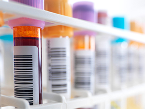 Sustainability Stories